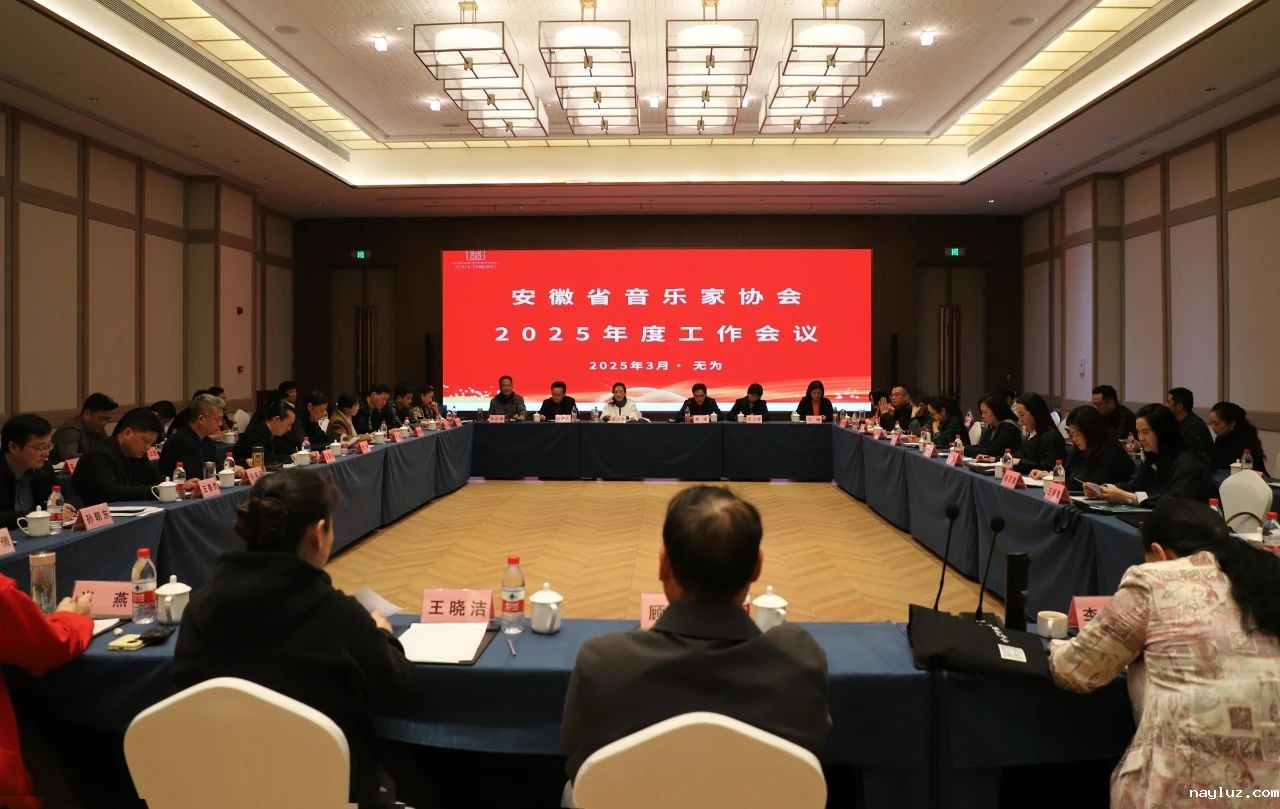 省音协2025年度工作会议暨考级工作会议在无为召开